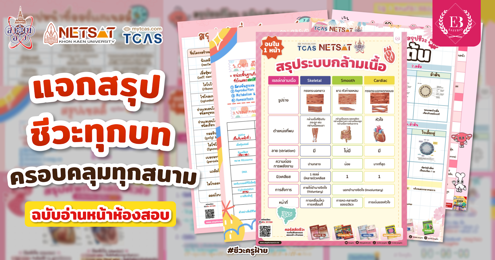 สรุปชีวะทุกบท