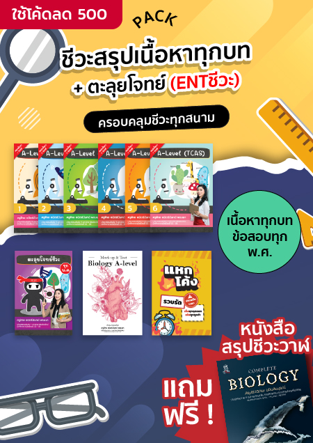 Pack สรุปเนื้อหาชีวะทุกบท + ตะลุยโจทย์